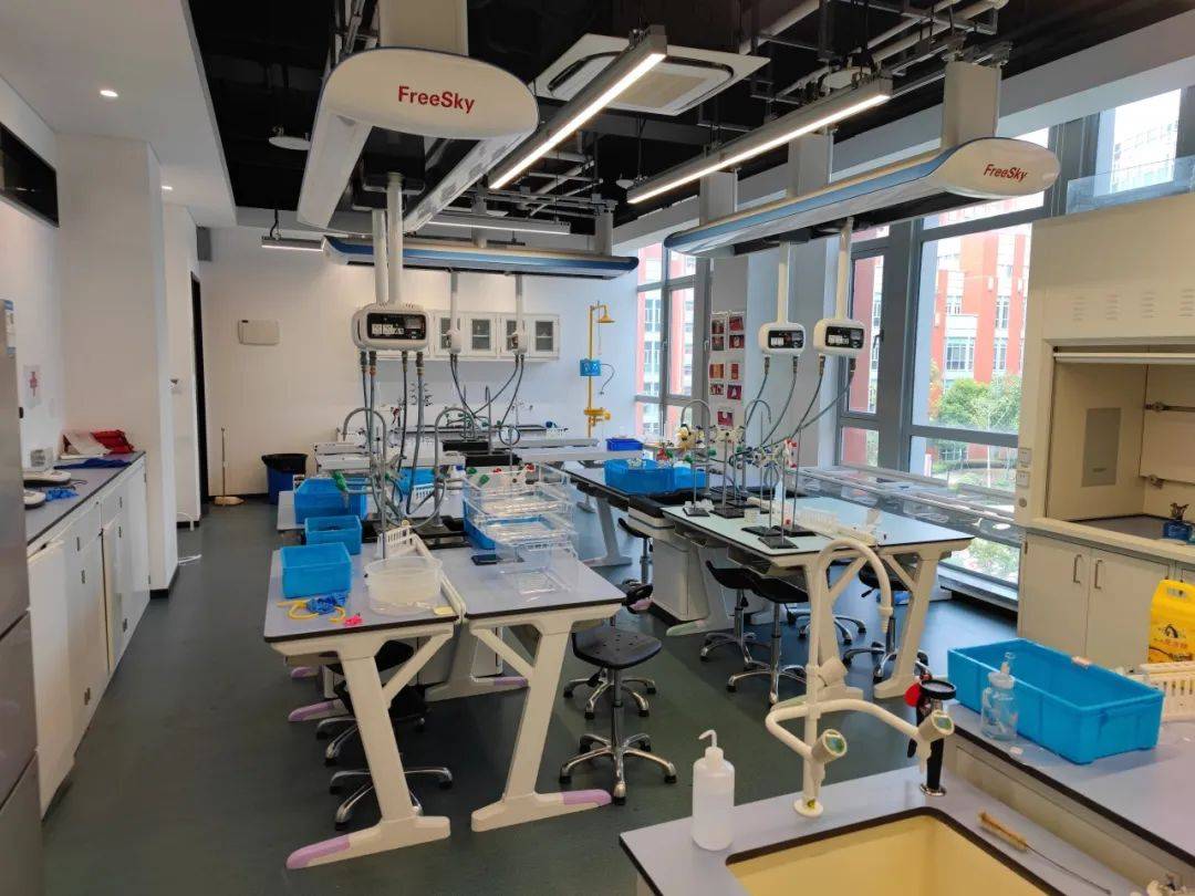 家電與通信設(shè)備進(jìn)口報關(guān)流程與代理服務(wù)詳解